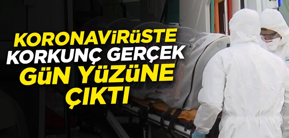 Koronavirüste korkunç gerçek gün yüzüne çıktı