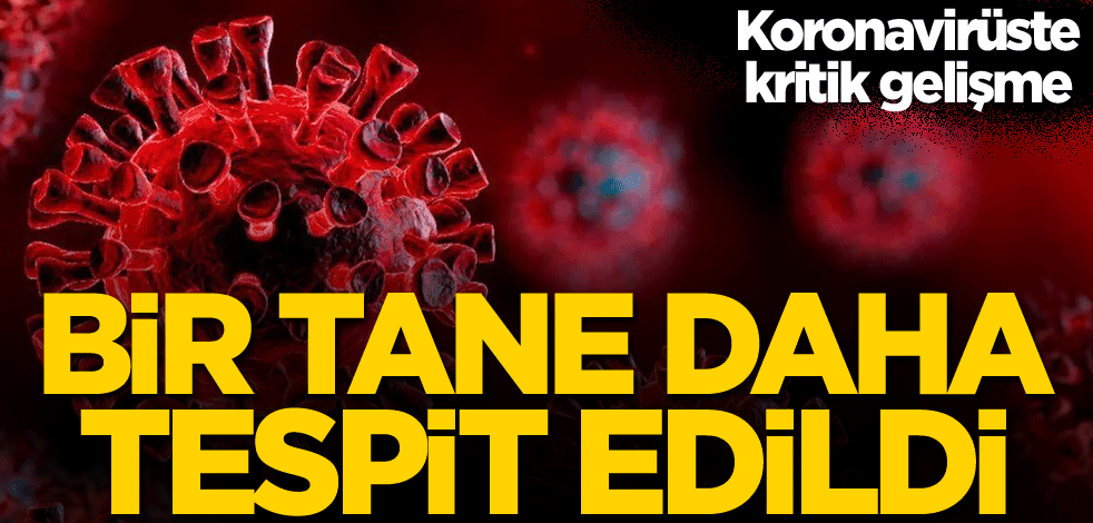 Koronavirüste kritik gelişme! Bir tane daha tespit edildi