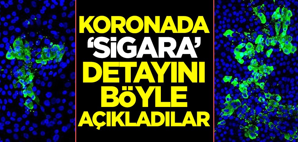 Koronavirüste "sigara" detayını açıkladılar! 3 kat daha fazla etkiliyor