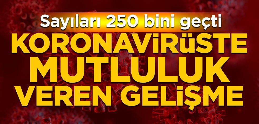 Koronavirüsten iyileşenlerin sayısı açıklandı! Onbinlerce kişi salgına karşı zafer elde etti