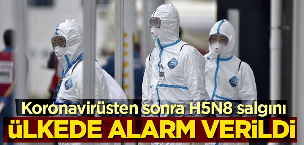 Koronavirüsten sonra H5N8 salgını! Ülkede alarm verildi