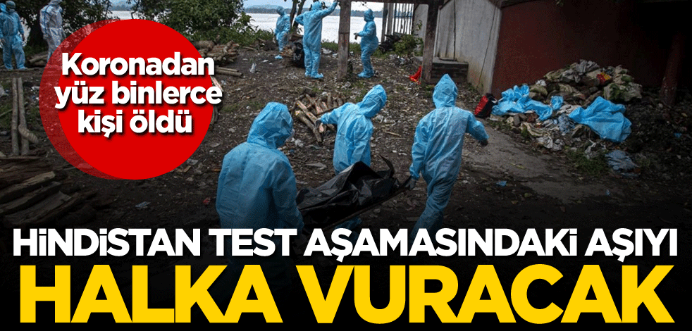 Koronavirüsten yüz binlerce kişi öldü! Hindistan test aşamasındaki aşıyı halka vuracak
