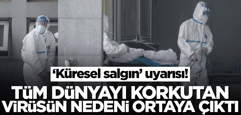 Koronavirüsü nasıl ortaya çıktı? Uzmanlar uyardı