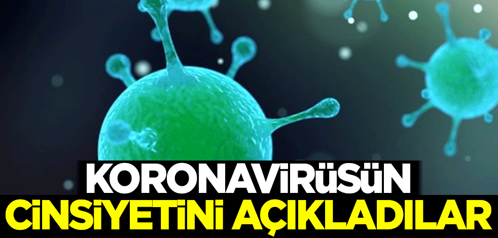 Koronavirüsün cinsiyetini açıkladılar