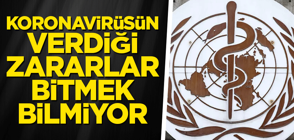 Koronavirüsün verdiği zararlar bitmek bilmiyor