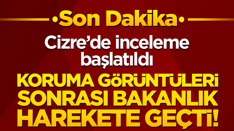 Koruma görüntüleri sonrası bakanlık harekete geçti! Cizre’de inceleme başlatıldı