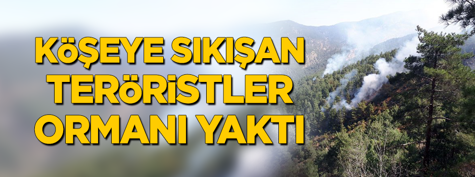 Köşeye sıkışan PKK'lı teröristler ormanı yaktı