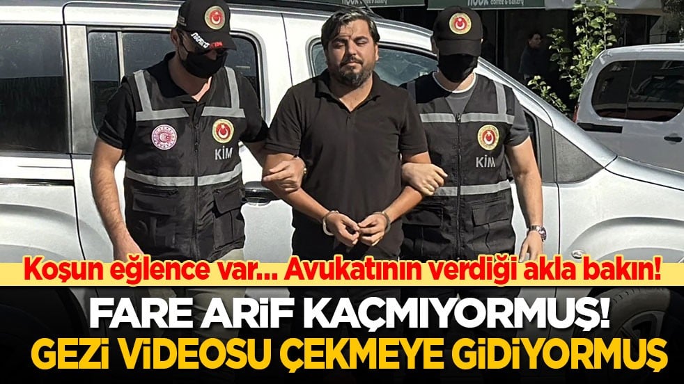 Koşun eğlence var… Avukatının verdiği akla bakın: Fare Arif kaçmıyormuş! Gezi videosu çekmeye gidiyormuş