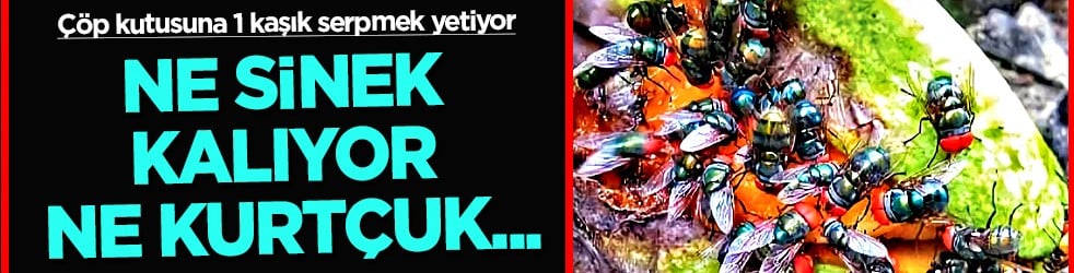 Kötü kokulara son verin! Çöp kutusuna 1 kaşık serpmek yetiyor: Ne sinek kalıyor ne kurtçuk...