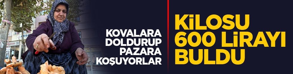 Kovalara doldurup pazara koşuyorlar: Kilosu 600 lirayı buldu