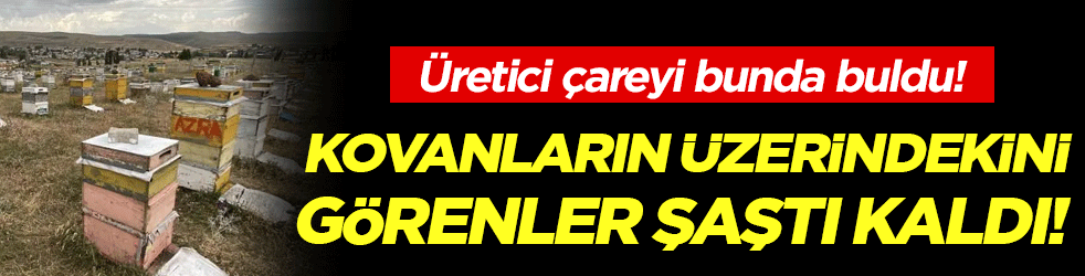 Kovanların üzerindekini görenler şaştı kaldı! Üreticiden basit çözüm!