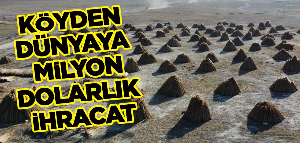Köyden dünyaya milyon dolarlık dev ihracat! Hollanda, Almanya, Danimarka ve İngiltere...