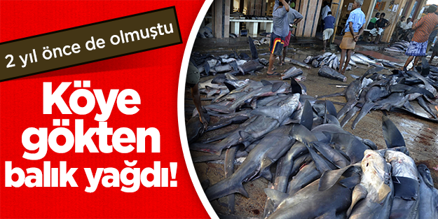 Köye gökten balık yağdı