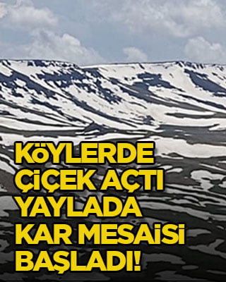 Köylerde çiçek açtı, yaylada kar mesaisi başladı!