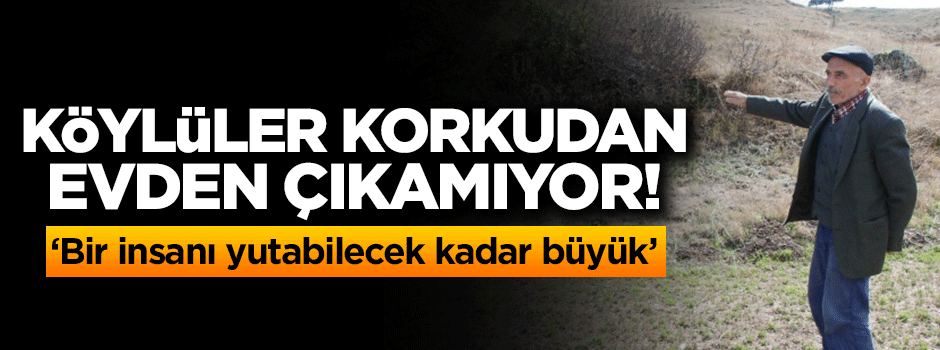 Köylülerin kabusu oldu! Korkudan evden çıkamıyorlar
