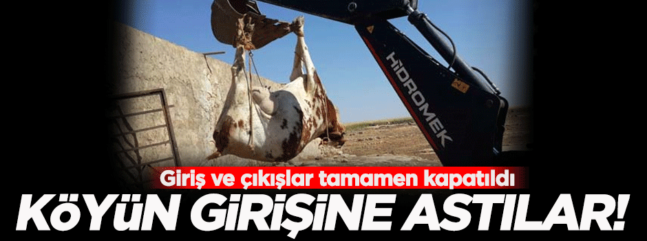 Köyün girişine tabela asıp 'giriş ve çıkışları' yasakladılar!