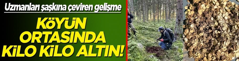 Köyün ortasında kilo kilo gümüş çıktı: Viking hazinesinden Türkiye detayı da var...