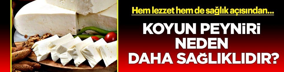 Koyun peyniri katkı sağlıyor: Koyun peyniri neden daha sağlıklıdır? Yayladan peynir olarak soframıza geliyor 