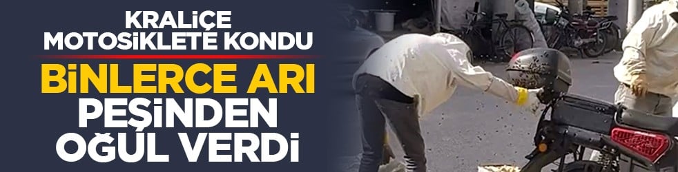 Kraliçe motosiklete kondu: Binlerce arı peşinden oğul verdi