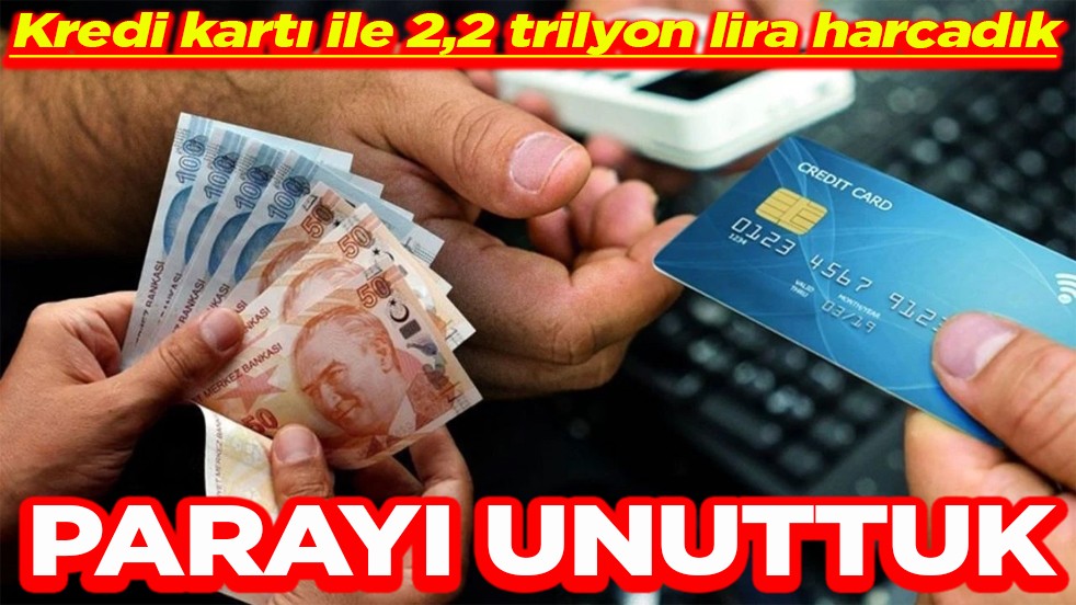 Kredi kartı ile 2,2 trilyon lira harcadık Parayı unuttuk