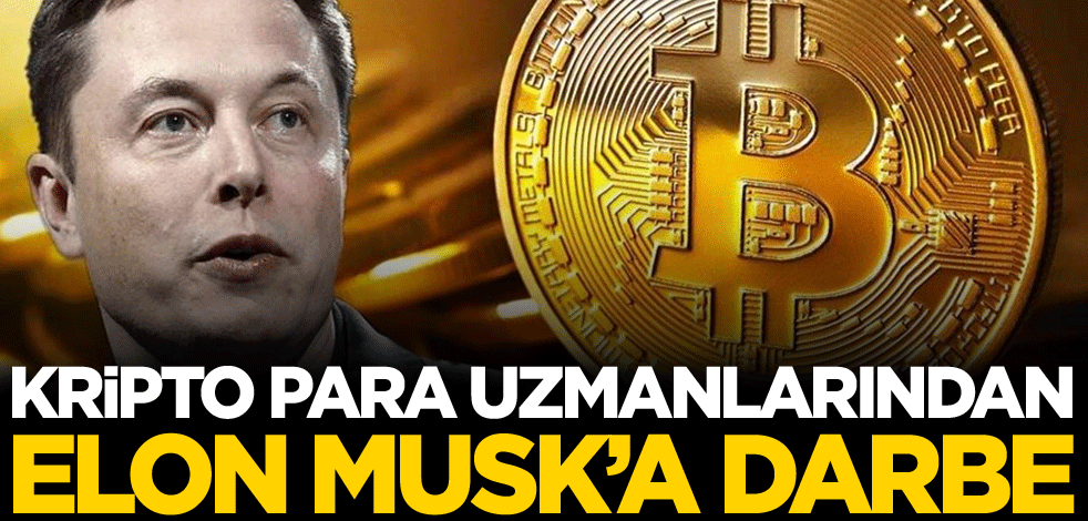 Kripto para uzmanlarından Elon Musk'a misilleme