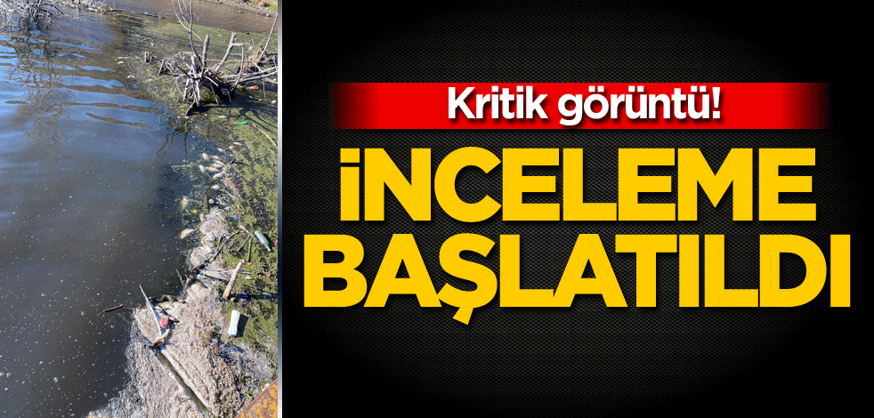 Kritik görüntü! İnceleme başlatıldı