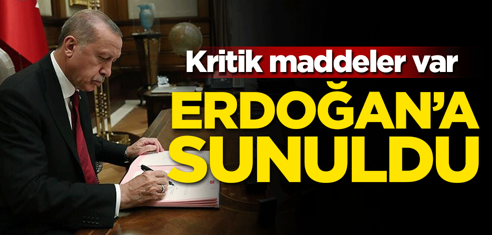 Kritik maddeler var! Erdoğan'a sunuldu