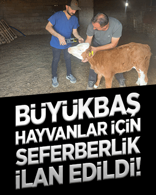 Kritik operasyon!