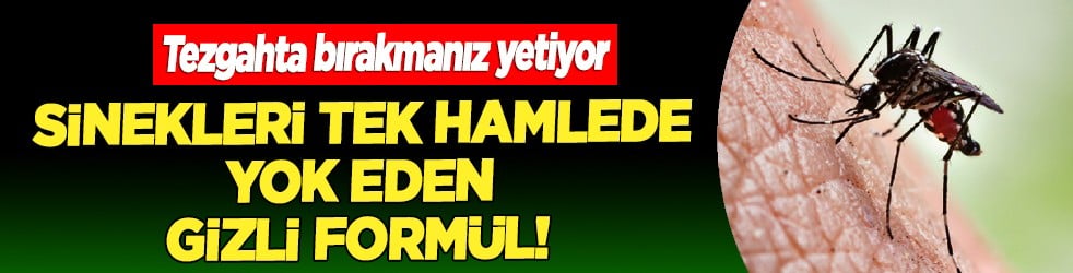 Küçük bir kavanoza elma sirkesi koyun ve... Sinekleri yok etmenin formülü... Korkudan ödleri kopacak