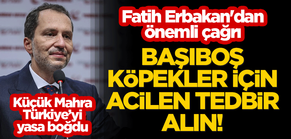 Küçük Mahra Türkiye'yi yasa boğdu! Fatih Erbakan'dan önemli çağrı: Başıboş köpekler için acilen tedbir alın!