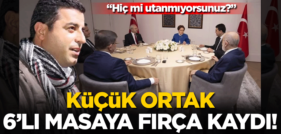 Küçük ortak Selahattin Demirtaş'tan 6'lı masaya tepki: Hiç mi utanmıyorsunuz?