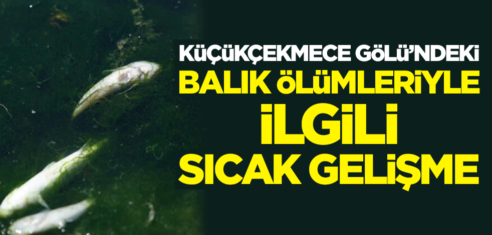 Küçükçekmece Gölü'ndeki balık ölümleriyle ilgili sıcak gelişme