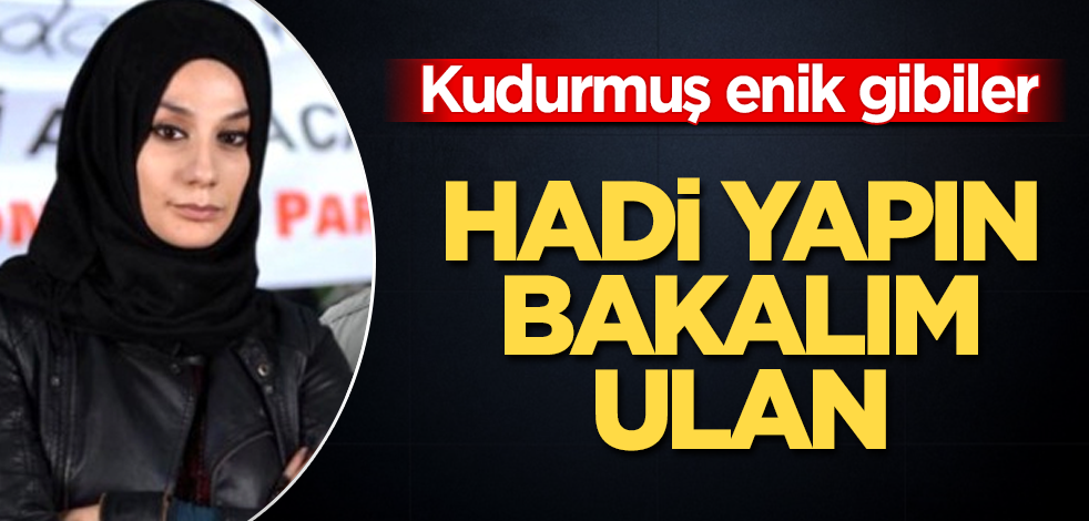 Kudurmuş enik gibiler! Hadi yapın bakalım ulan
