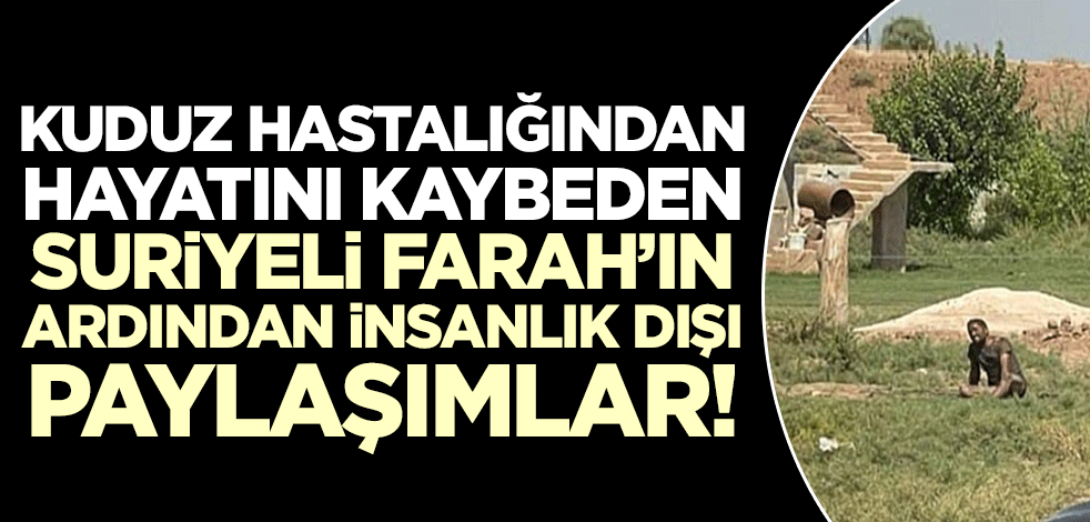 Kuduz hastalığından hayatını kaybeden Suriyeli Faras'ın ardından insanlık dışı paylaşımlar!