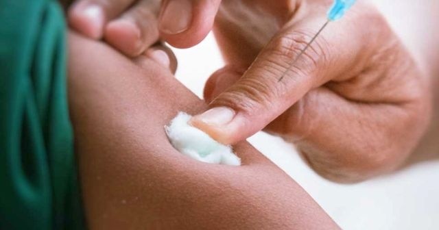 Kuduz için hangi bölüme gidilir?