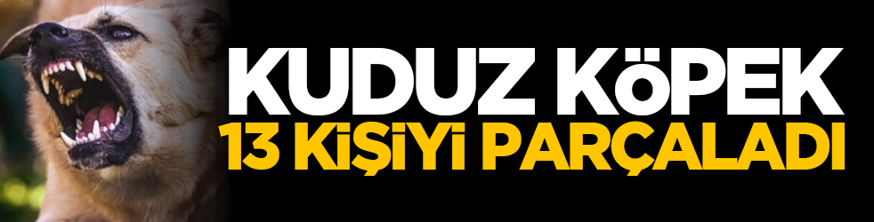 Kuduz köpek 13 kişiyi parçaladı