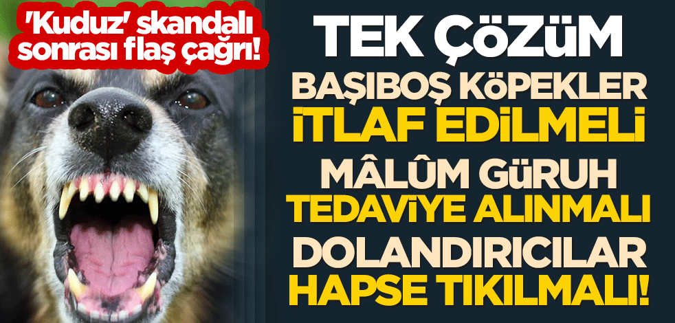 'Kuduz' skandalı sonrası flaş çağrı! Tek çözüm; başıboş köpekler itlaf edilmeli, mâlûm güruh tedaviye alınmalı, dolandırıcılar hapse tıkılmalı!