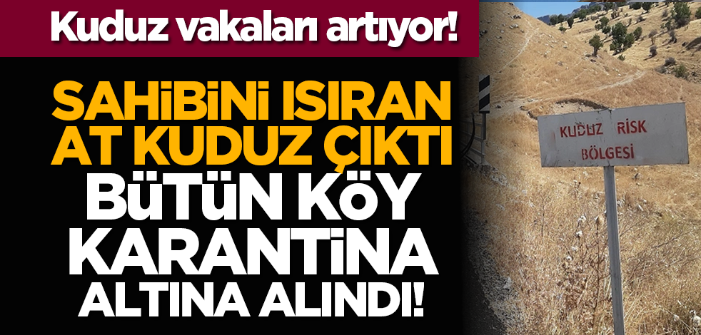 Kuduz vakaları artıyor! Sahibini ısıran at kuduz çıktı, bütün köy karantina altına alındı!