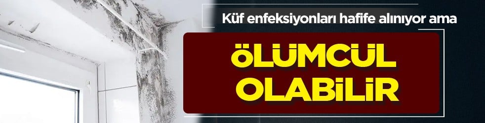 Küf diye hafife almayın: Ölümcül hastalıklara neden oluyor! Lütfen hemen doktora başvurup önlem alın