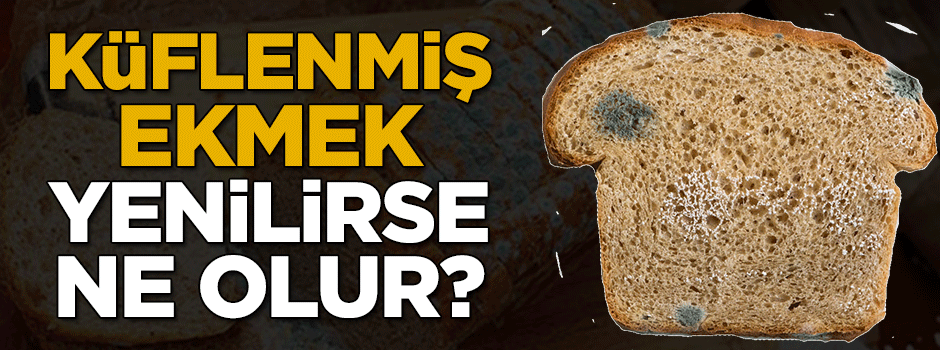 Küflenmiş ekmek yenilirse ne olur?