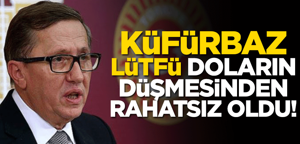 Küfürbaz Lütfü doların düşmesinden rahatsız oldu!
