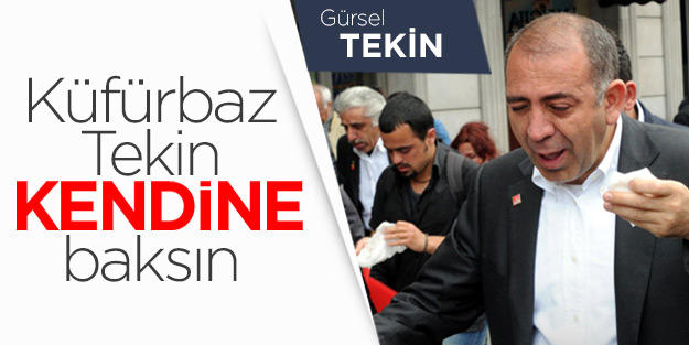 Küfürbaz Tekin kendine baksın