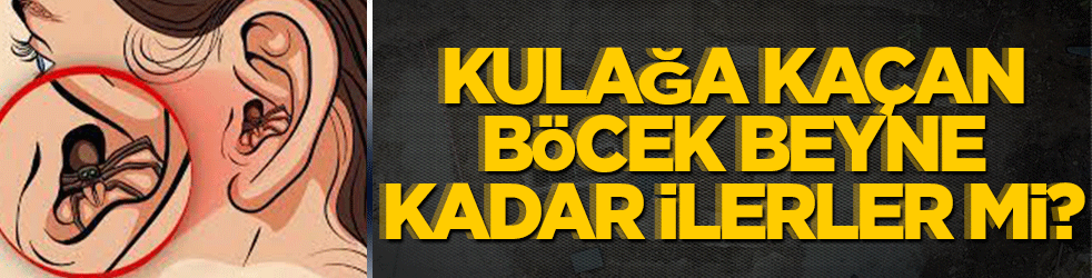 Kulağa kaçan böcekler beyne kadar ilerler mi? Bakın cevabı ne?