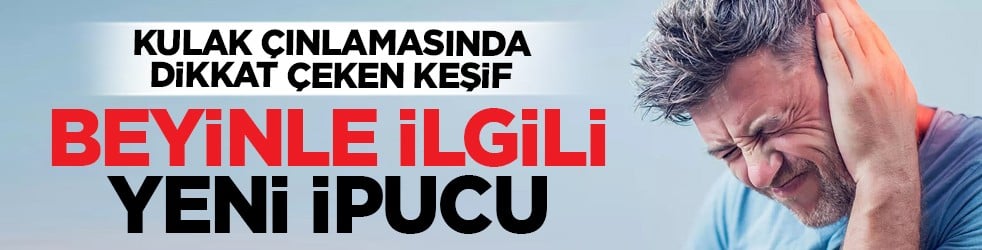 Kulak çınlamasında dikkat çeken keşif: Beyinle ilgili yeni ipucu