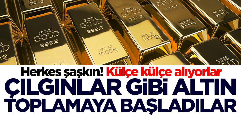 Külçe külçe, çılgınlar gibi altın toplamaya başladılar! Herkes şaşkın