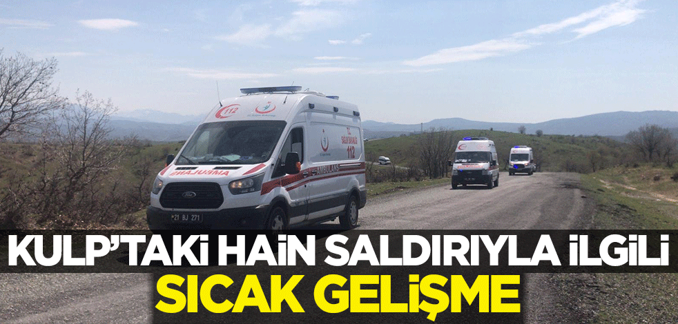 Kulp'taki hain saldırıyla ilgili sıcak gelişme