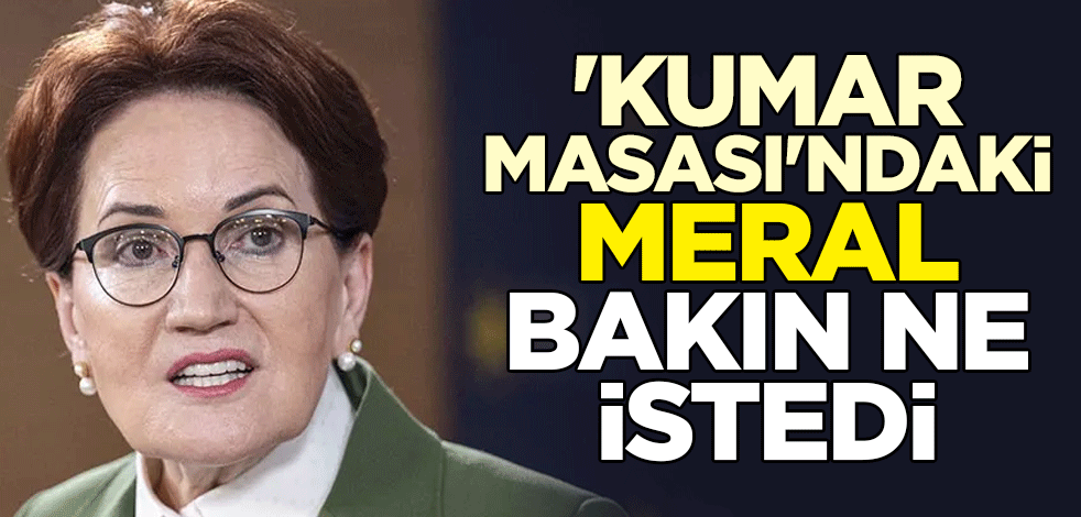 'Kumar masası'ndaki Meral Akşener bakın ne istedi