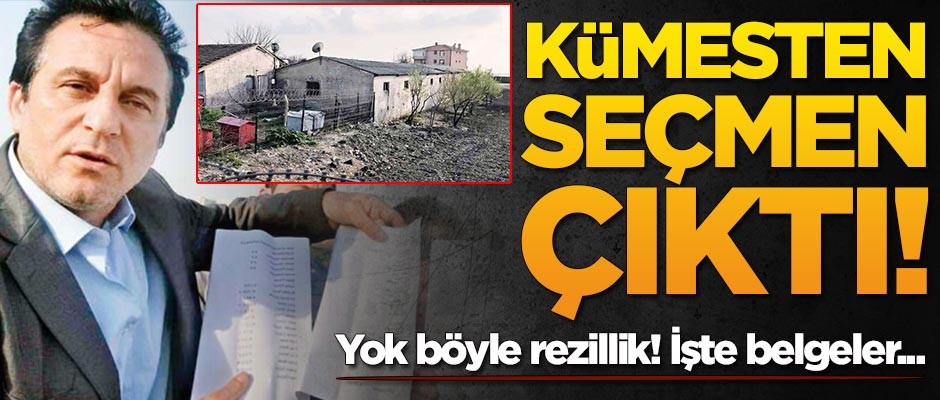 Kümesten seçmen çıktı! 'Otobüslerle getirildiler'