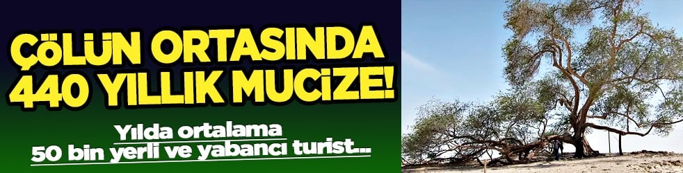 Kumlu bir tepenin üzerinde direkt tek başına duruyor: Çölün ortasında 440 yıllık mucize!