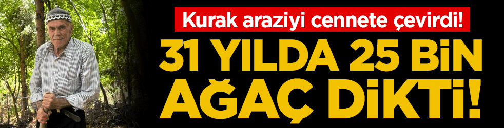Kurak araziyi cennete çevirdi: 31 yılda 25 bin ağaç dikti!